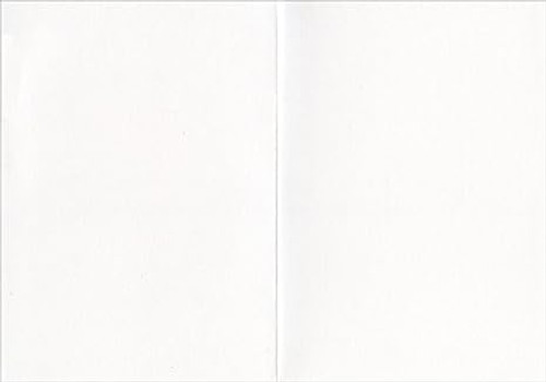 Avanti Press Smiling Golden Retriever Puppy Deluxe Matte Blank Card Avanti Press Smiling Golden Retriever Puppy Deluxe Matte Blank Card