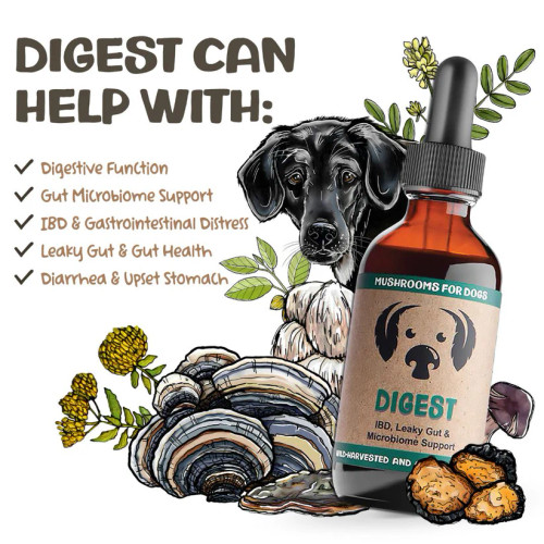 MycoDog Digest Mushrooms for Dogs MycoDog Digest Mushrooms for Dogs