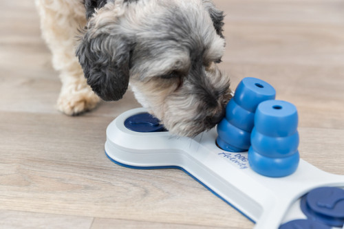 TRIXIE Strategy Game Flip Bone TRIXIE Strategy Game Flip Bone