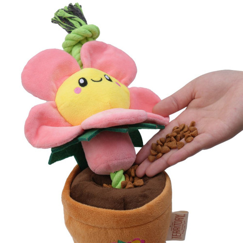 Territory Flower Treat-and-Tug Dog Toy