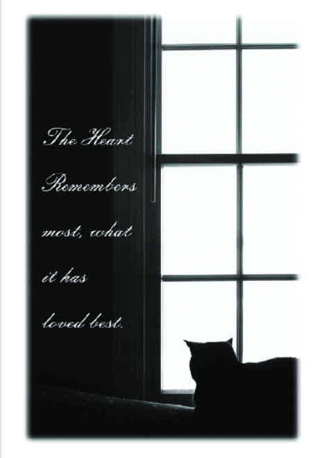 Cat Sympathy Card - The Heart Remembers