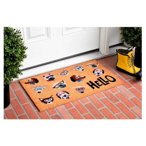Dog Fashion Pet Doormat