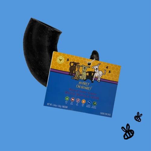 Honey I'm Home! Natural Honey Coated Water Buffalo Horn