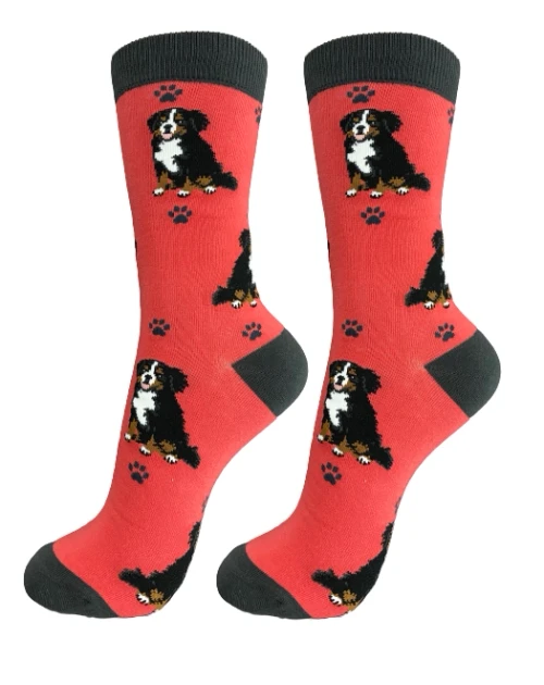 Bernese Mountain Dog Fun Novelty Crew Dog Socks