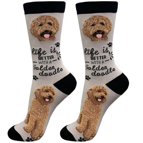 Goldendoodle Red Dog Fun Novelty Crew Dog Socks