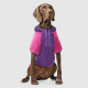 Canada Pooch Cool Factor Hoodie Pink