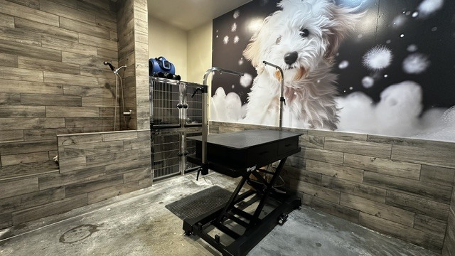 Grooming & Spa
