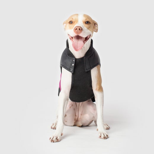 Canada Pooch Summit Vest Plum WOODIN' YOU