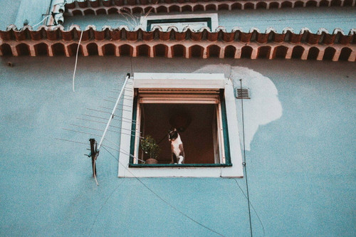 House with window