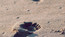 Product 6