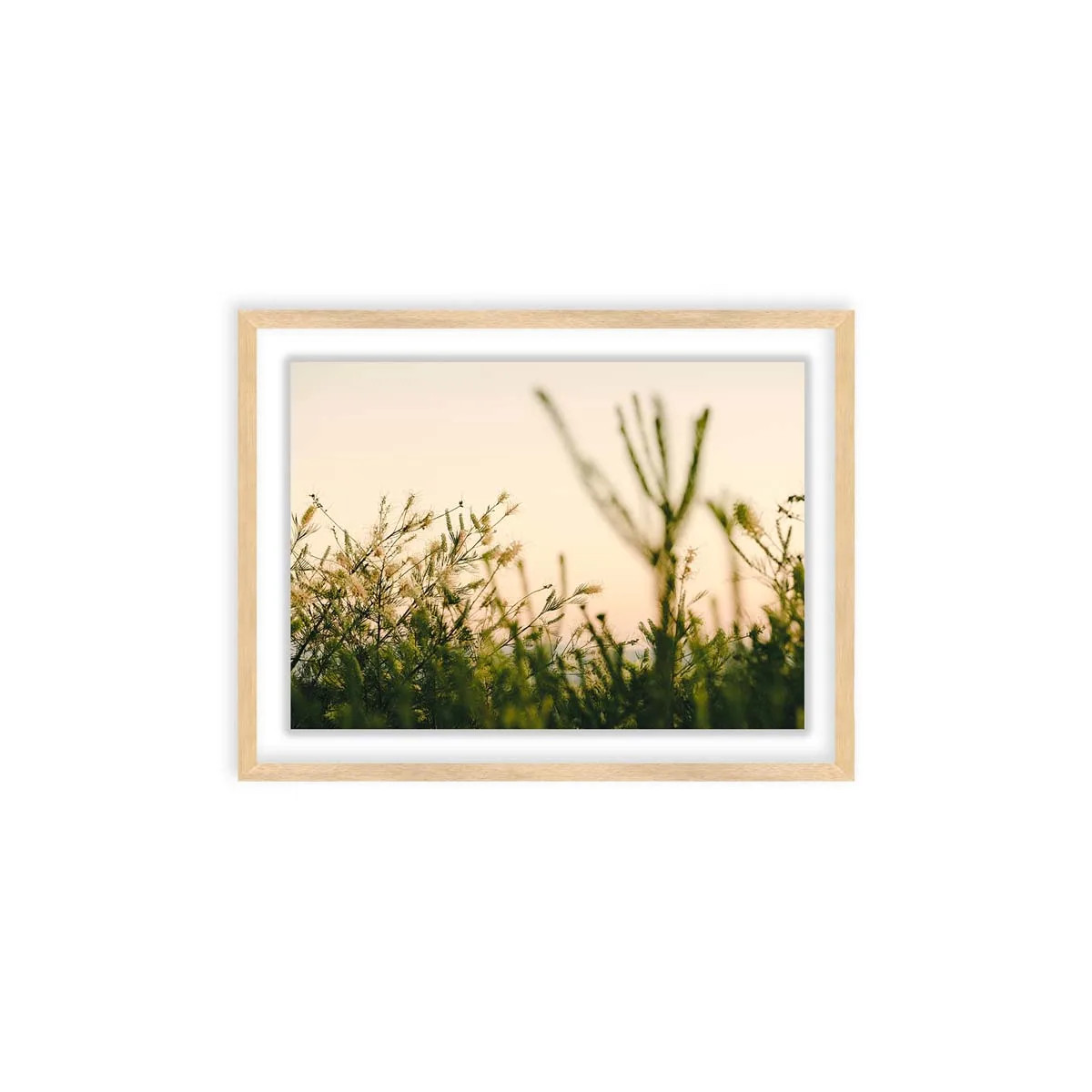 Early Light Art