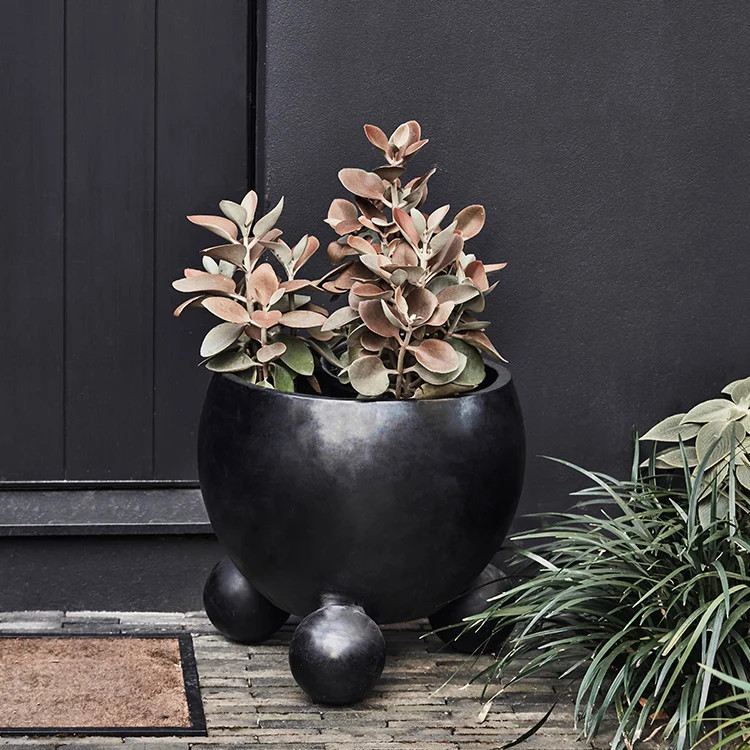 341516||CocoHeroImage