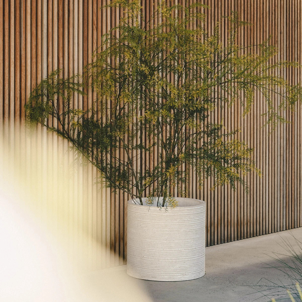 628115||CocoHeroImage