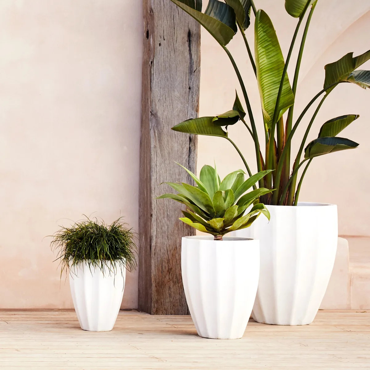 341690||CocoHeroImage