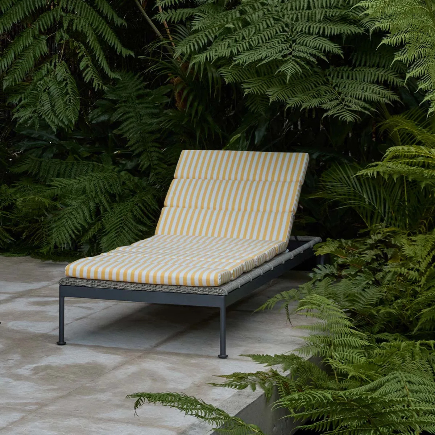 341488||CocoHeroImage 341488||CocoHeroImage