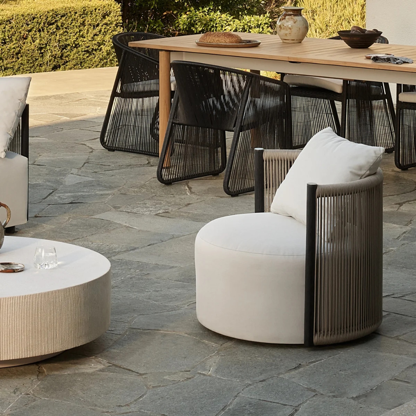 626046||CocoHeroImage 626046||CocoHeroImage