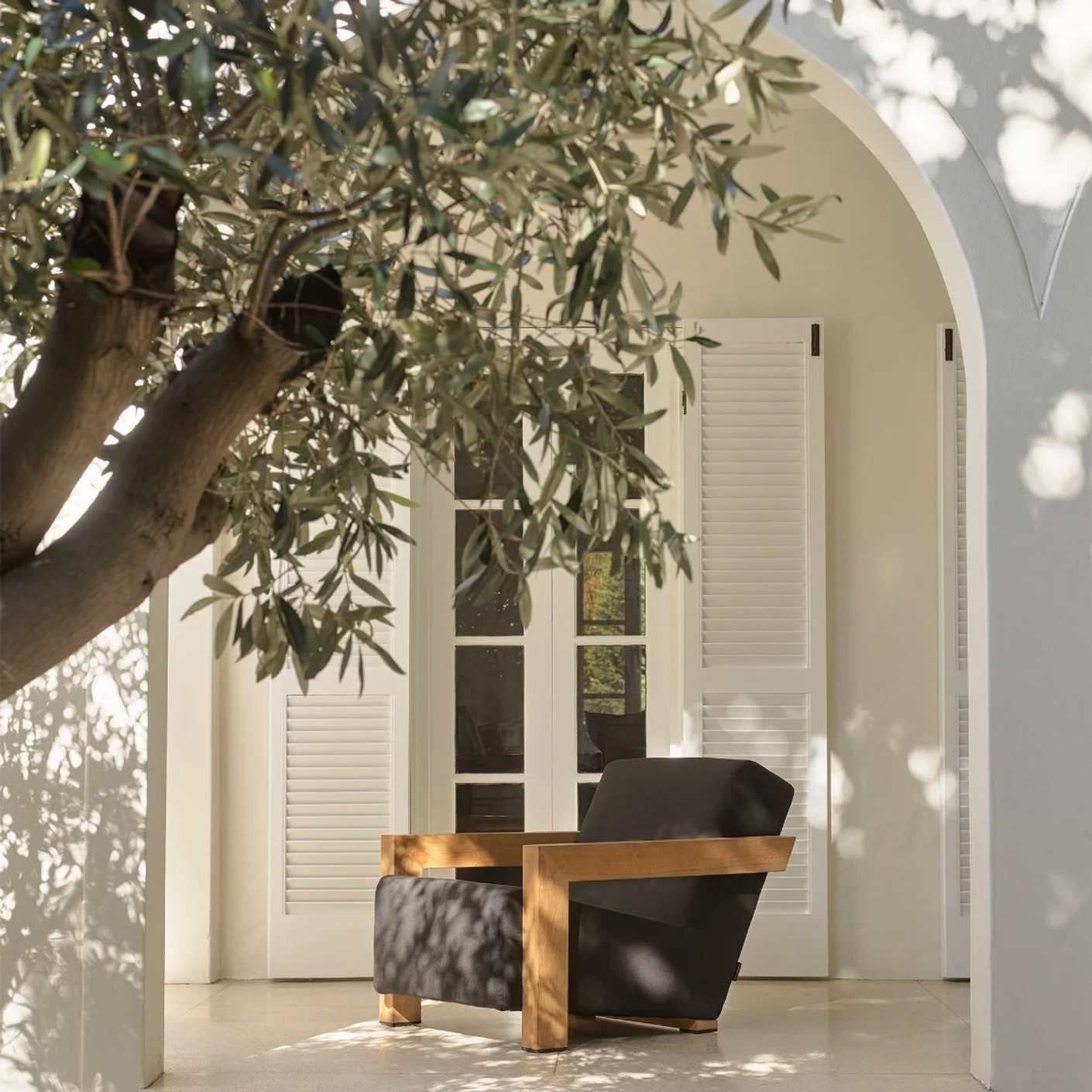 CR11-H851-0020133|Moreton Shell|CocoHeroImage