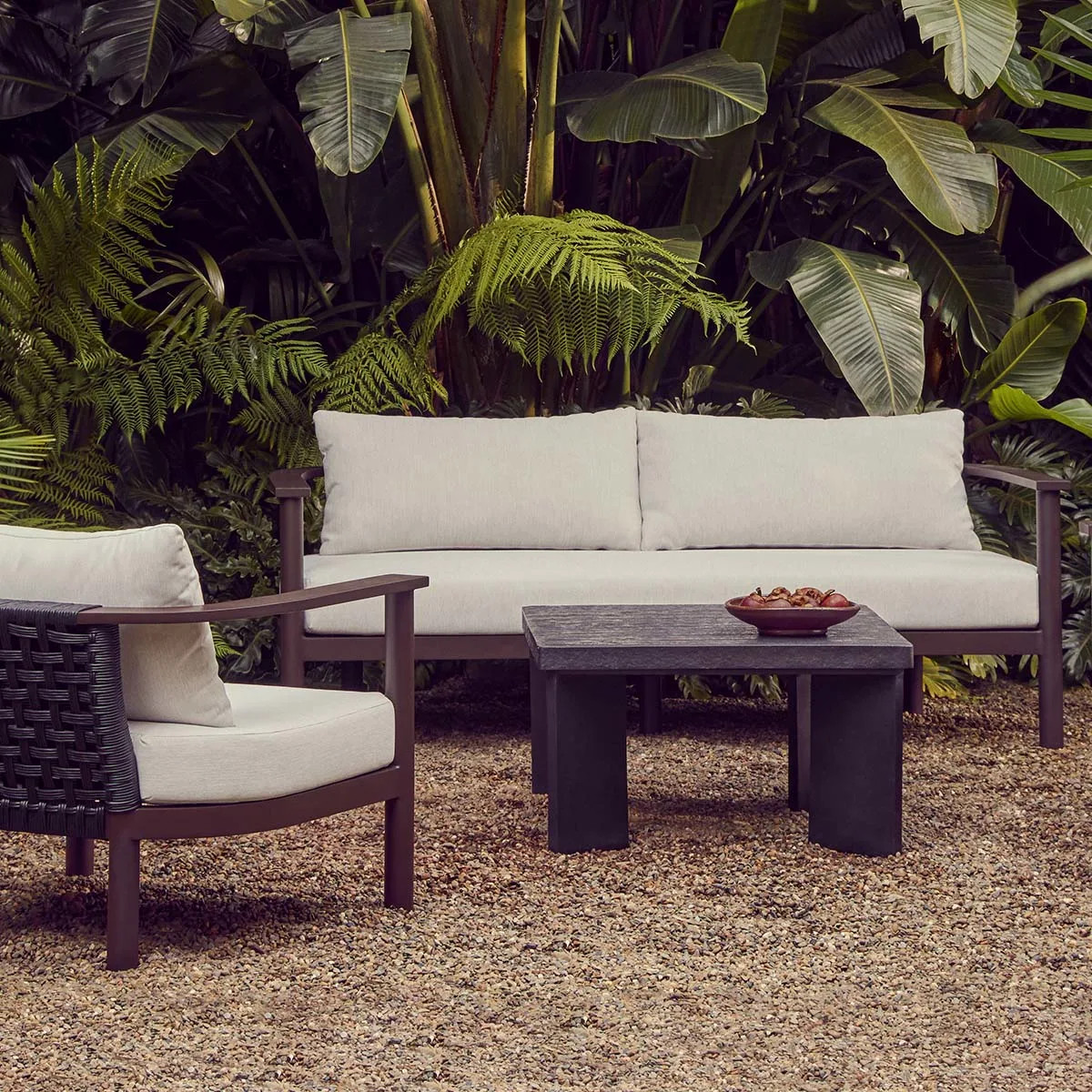 CR11-H851-0003133|Moreton Shell|CocoHeroImage