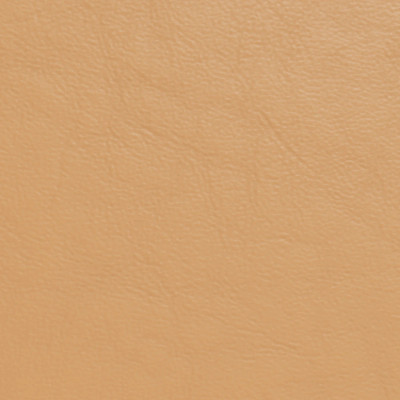 Take Home Swatch - Suntory Taupe - CR11-H851-0003153|Suntory Leather Taupe|Main Image|1