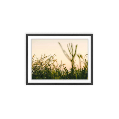 Early Light Art - CR11-H851-0023875||Main Image|1