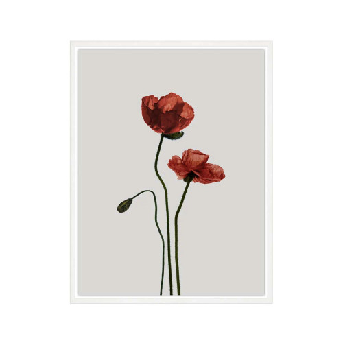 Opium Art - CR11-H851-0003360||Main Image|1
