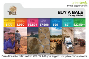 buy-a-bale-proud-support-by-greengrub-toys-300x200.jpg