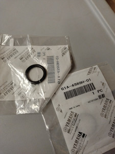 61A-4389H-01-00 O-RING