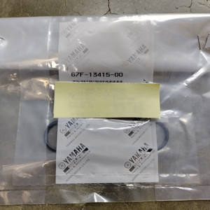 67F-13415-00-00 SEAL, OIL STRAINER