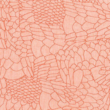 Polk - Scales (Orangeade)