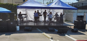 Best Stage Picks for Flawless Dance Performances