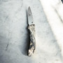 Buck Bantam Pocket Knife with Hayden Logo