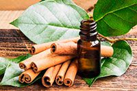 cinnamon-leaf-essential-oil