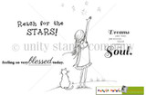 Reach for the STARS
