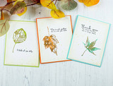 Three cards each with a single stamped leaf