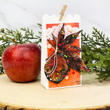 Card with a maple leaf stamped in autumn colors