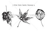 Love Never Leaves