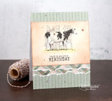 The newsprint-background cow on a soft peach ombre panel over green stripe paper — 'Herd it was your birthday.'