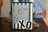 The donkey on a black-and-white striped card beside a bold 'XO.'