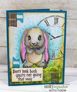 Card with a fluffy lop-eared bunny colored soft brown over a clock-and-numbers background and 'Don't look back, you're not going that way.'