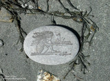 Photograph of the beach girl image stamped onto a smooth grey stone resting in wet sand.