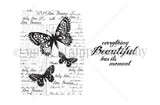 Beautiful Moments