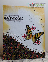 New Fluttering Miracles