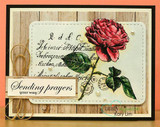Sample card with a red rose and green leaves over the script background, on woodgrain paper with twine and a 'Sending prayers your way' label.