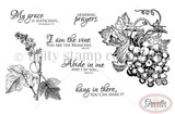 The Vine