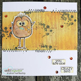 Rustic card with a brown crazy bird, 'you are one CRAZY bird.'