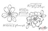Blossom & Flourish