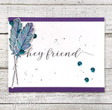 A single stem of feathers on a white and purple card, captioned 'hey friend.'