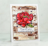 Card with the barn wall behind a red peony: 'May all your wishes come true.'