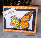 Orange striped card with a black scalloped frame: the butterfly colored orange with a bouquet of yellow and pink flowers, under a torn “allow yourself to let go” strip.