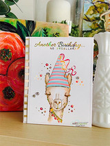 A llama in a striped party hat on a bright card — 'Another Birthday... no probllama.'